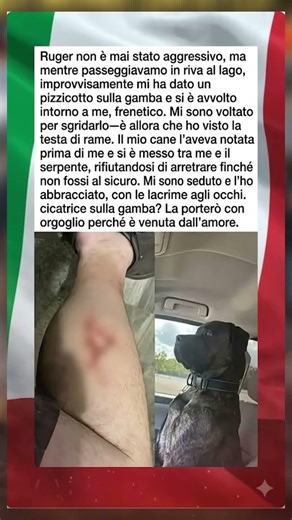 “Il mio cane mi ha morso… ma mi ha salvato la vita