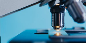 Les origines du microscope