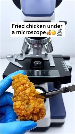 फ्राइ चिकन लेग under the microscope 🤯🔬 #shorts #facts #microscope #amazingfacts #science #1million