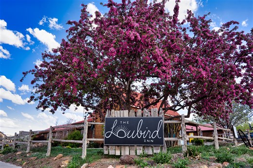 15 S 100 E, Escalante, UT 84726 - MLS 26-271268 - Coldwell Banker