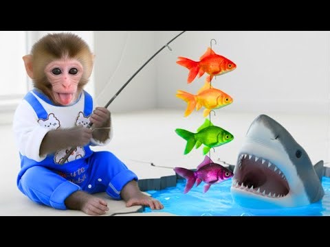 Cute Milo Monkey Fishing Rainbow Fish and Playing on a Colorful Slide with Puppy