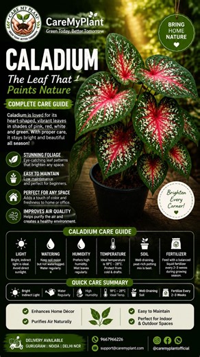 This Colorful Plant Will Transform Your Room #indoorplants #homedecor