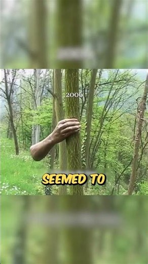 What Happens When a Tree Eats a Hand? 🌳🤯 #shorts