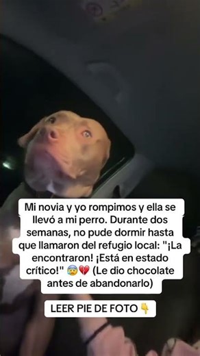 LEE LA DESCRIPCIÓN 👇🏻