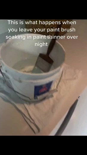 spider_slack no TikTok