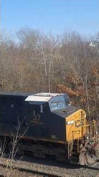 ALL CARHAULERS!! #train #csx #railway #railfans #outdoors #trainshorts #locomotive ##trainspotting