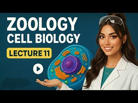 Zoology | Cell Biology - Lecture 11 | The Cell Cycle | Interphase, Mitosis & Regulation