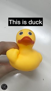 45K views · 795 reactions | This is a middle finger check point, show yours  https://amzn.to/42hjnJw | Middle Finger | Facebook