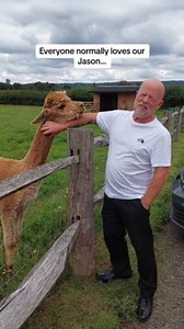 During a farm visit, a man's friendly encounter with a llama took an unexpected turn. Drawn to the creature, he stepped closer and began to pet it gently. However, the llama had other plans - it responded to his affection with not one, but two surprise spits right at him. The sheer unexpectedness of the situation left him both stunned and laughing uncontrollably. | Jukin Copyright Management | Facebook