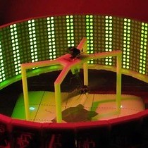 Video: Early Metamorphic Insertion Technology for Insect Flight Behavior Monitoring