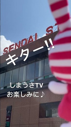 🐰会いに来たよー♪#しまうさtv #しまむら70周年 #あなたの街にしまうさ