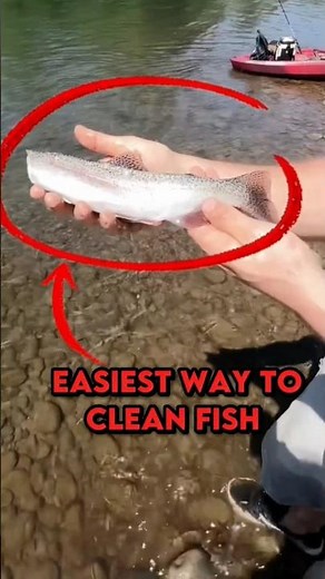How to clean fish perfectly? #fishing #fish #fishcleaning #shorts