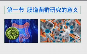 标志性肠道菌群研究的重要意义