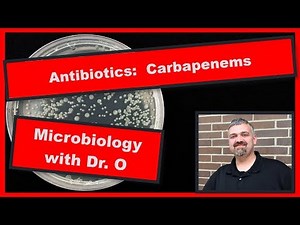 Carbapenem Antibiotics and CRE: Microbiology