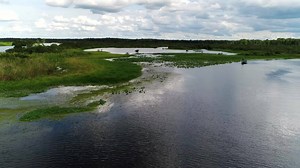 Pro Tip: The Z-Man Turbo Crawz has the perfect presentation with a lot of action but also a small profile. | Sweetwater Fishing TV