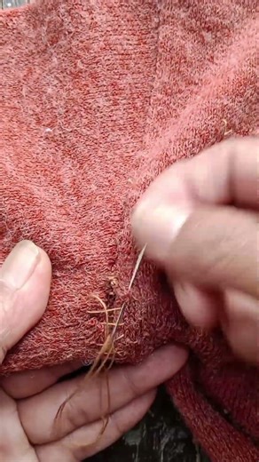 tutorial on sewing a torn women's sweater #sewing