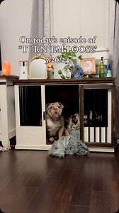 72K views · 2.1K reactions | Bama wants to sleep with Barkley in his kennel but he doesn’t know how to act! Barkley wants him out. #bulldogs #englishbulldog #bulldogsofinstagram | Tabitha Jefferson Moore | Facebook