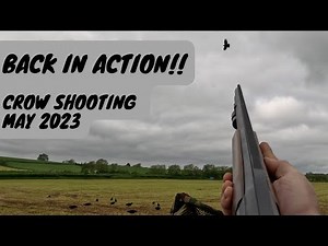 Back on the Crows | Crow Shooting | Hide Shooting