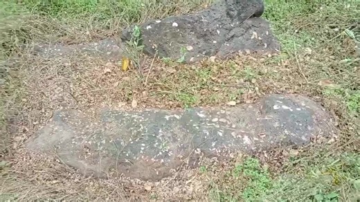 5.9K views · 169 reactions | Sakana & code juu remapping part three! #krissniperremapping #highlightseveryone #fypviral #viralreelsfb #explorepage #treasurehunt #goldenlily #folllowers #SubscribeNow #ganbattekudasai #banzai | Kris Sniper Remapping | Facebook