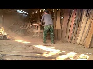 Best Fruits to Grow in Containers