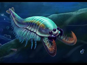 霸主的陨落：奇虾(Anomalocaris)、麒麟虾(Kylinxia)和巴氏辛德汉斯虫小传