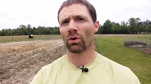 Milpa Garden Mix » Green Cover