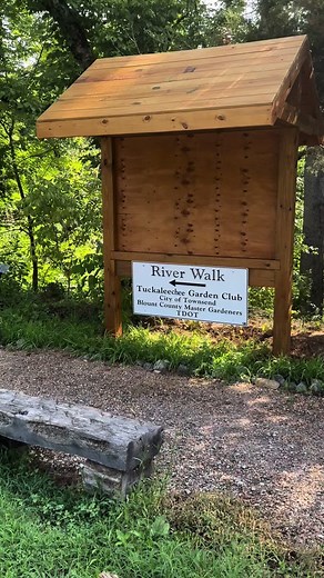 Shuuussshhhh! Dont tell anyone of this special little place! The secret gem that hides itself along side the Little River in Townsend! #riverwalk #exploretownsend #peacesideofthesmokies #smokymountainstennessee