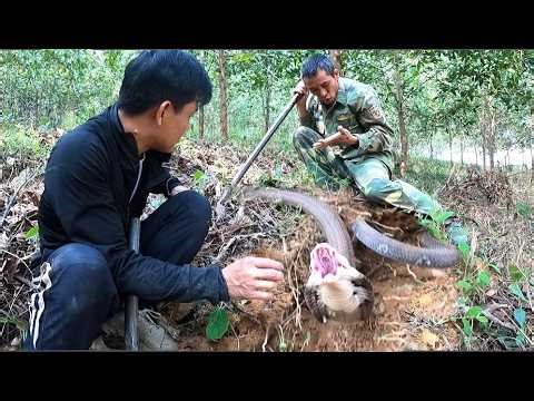 almost lost my life. Looks like he touched something that looked like a venomous snake's fang...