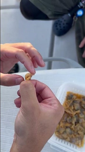 必見！カワハギ釣りの餌つけ