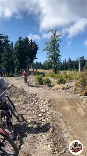 😮 Unbelievable MTB Stunts! Epic Fails & Insane Jumps! ​#MountainBiking #MTBLife #downhill #shorts