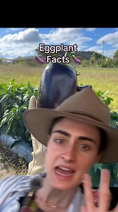 5.4K views · 18 reactions | Three Facts about Eggplants you didn’t...