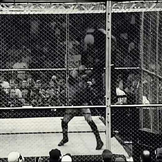 132 Brock Lesnar Destroyed Stephanie !! #fblifestyle | Morgxn Lanezo