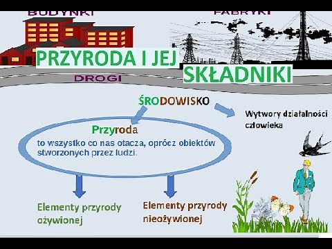 Przyroda i jej składniki. Elementy przyrody ożywionej i nieożywionej..