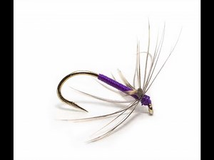 Snipe & Purple wet fly (Tutorial)