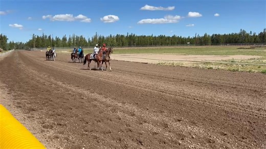 1.2K views · 17 reactions | First race of the day at The Horses At Evergreen Park about to start! | Evergreen Park | Facebook