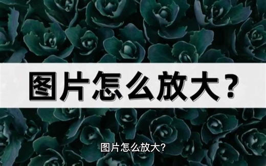 图片怎么放大？教你两个好用的放大方法