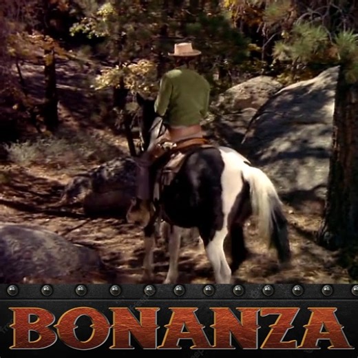 31K views · 915 reactions | Bonanza Season 13 Episode 16 Second Sight P1 | Bonanza Forever | Facebook