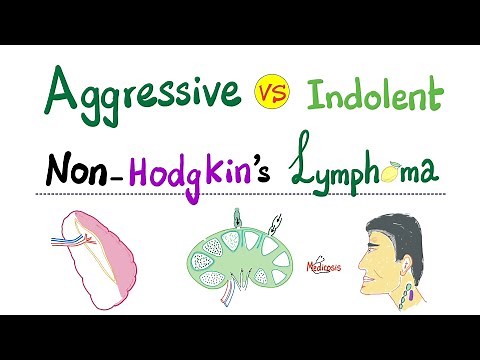 Non-Hodgkin's Lymphoma - Aggressive type VS Indolent type - Hematology and Oncology