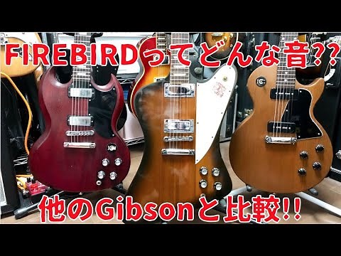 Gibson FIREBIRDレビュー🎸SG・LP Specialと比較!! Presented by チバカン楽器