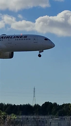 JAL ボーイング787✈️羽田空港から大阪伊丹空港にようこそ👍