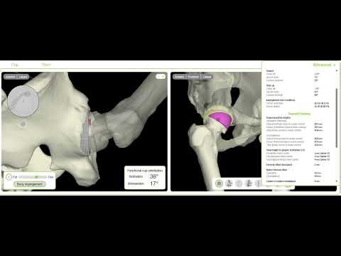 Virtual Simulation Assessment