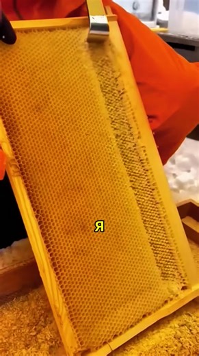 Incredible Roblox Stories Shared on Reddit