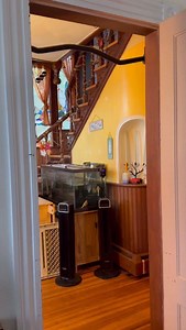 Banana Cream Pale | Daleseafoam