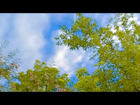 Chef Roshani's kitchen is live #viralvideo #live