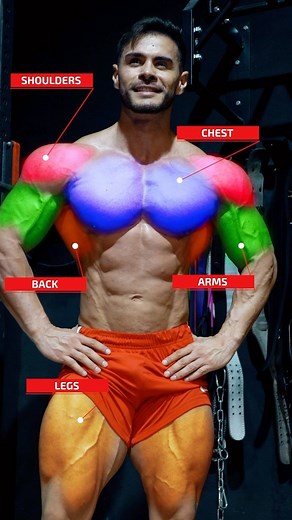 Fit Media Channel on Instagram: "The Fit Media Training App - for all your workout needs. FREE 7-day trial . Link in bio"