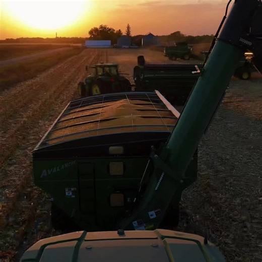 How a Combine Harvester Works. #science