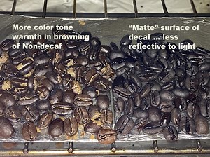 Closeup on Roasting Decaf Coffee - Sweet Maria's Coffee Library