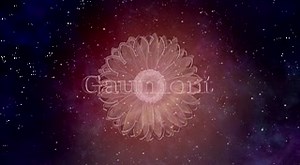 Фанфан — аромат любви / Fanfan (1993)