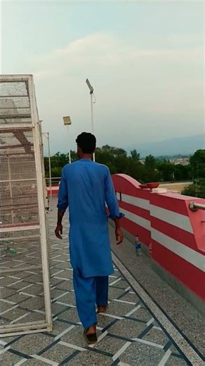 Inside Pakistan’s Elite Champion Loft 🕊️✨#shortsfeed#shorts#pigeon