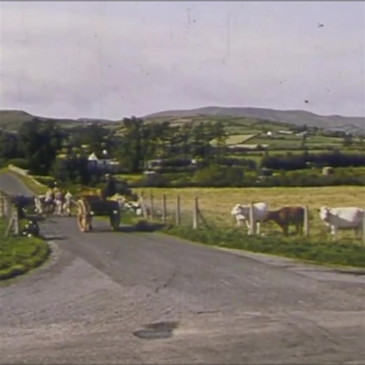 Exploring the Beauty of Ireland in One Video